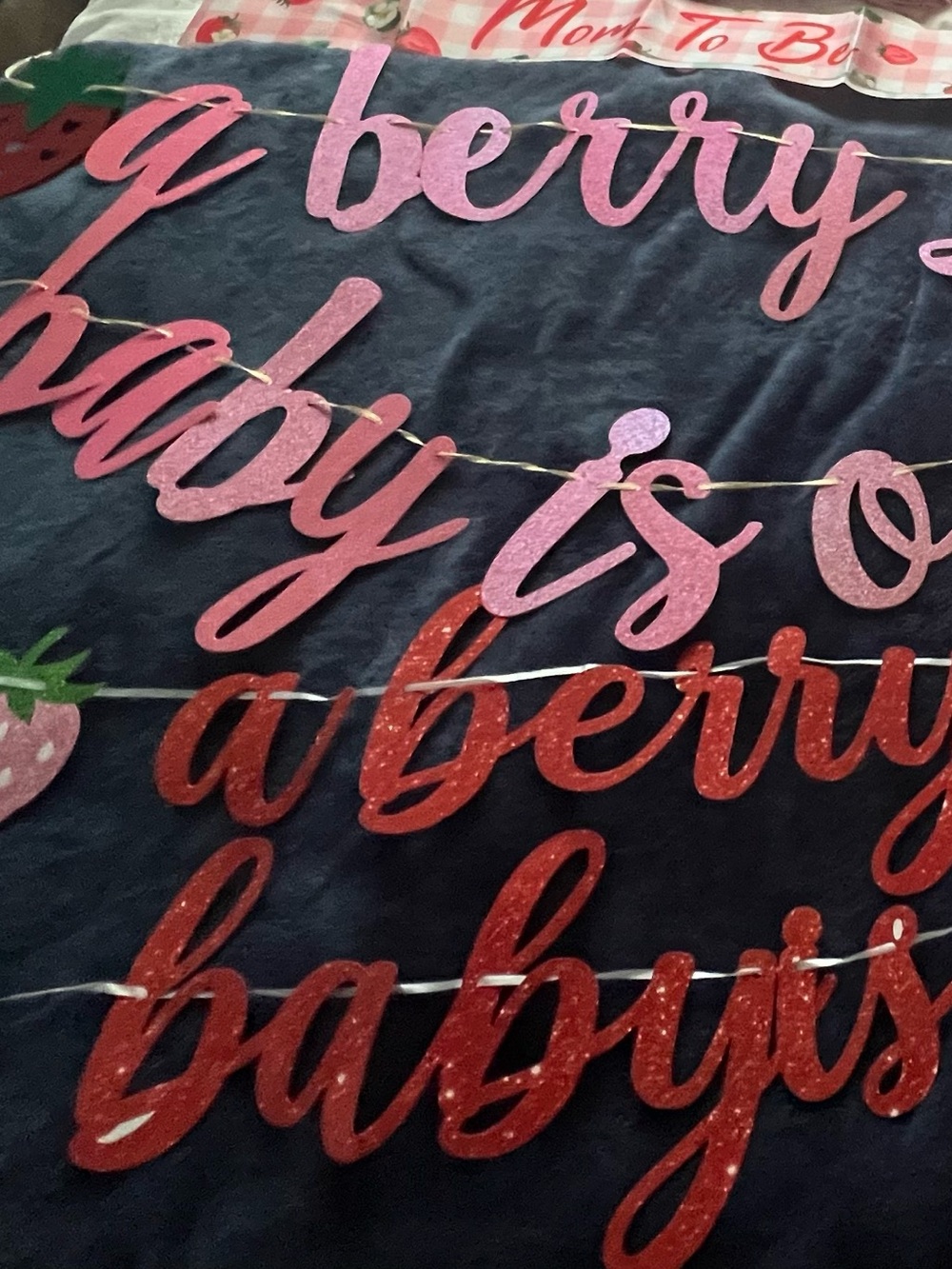 Berry Sweet Baby Shower Banner & Party Decor Set